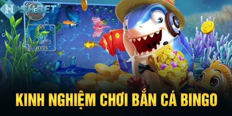 Những chiến thuật chơi bắn cá bingo trực tuyến hiệu quả cao