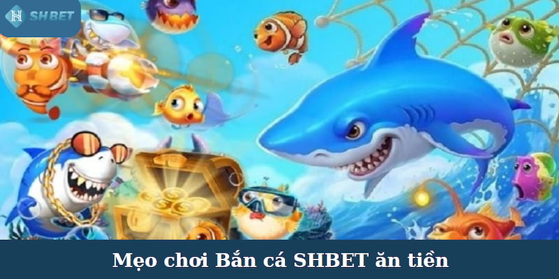 Nâng cấp vũ khí là cách tốt nhất để sản cá hiệu quả hơn tại SHBET