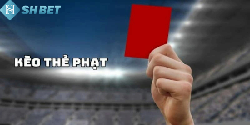 Người chơi có thể đặt cược thẻ phạt ở nhiều hình thức 