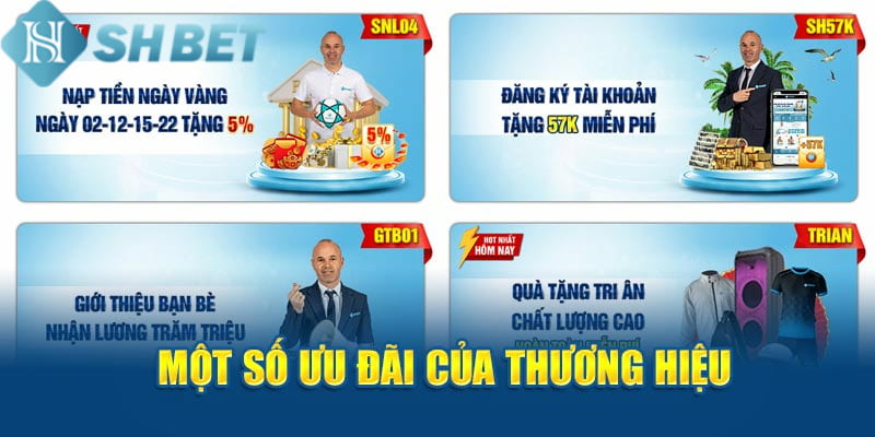 SHBET thường xuyên mang đến những khuyến mãi hấp dãn cho người chơi