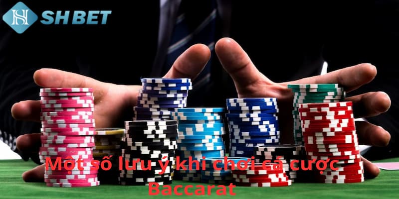 Mẹo Chơi Baccarat Thắng Lớn Tại SHBET Đơn Giản Nhất 2024